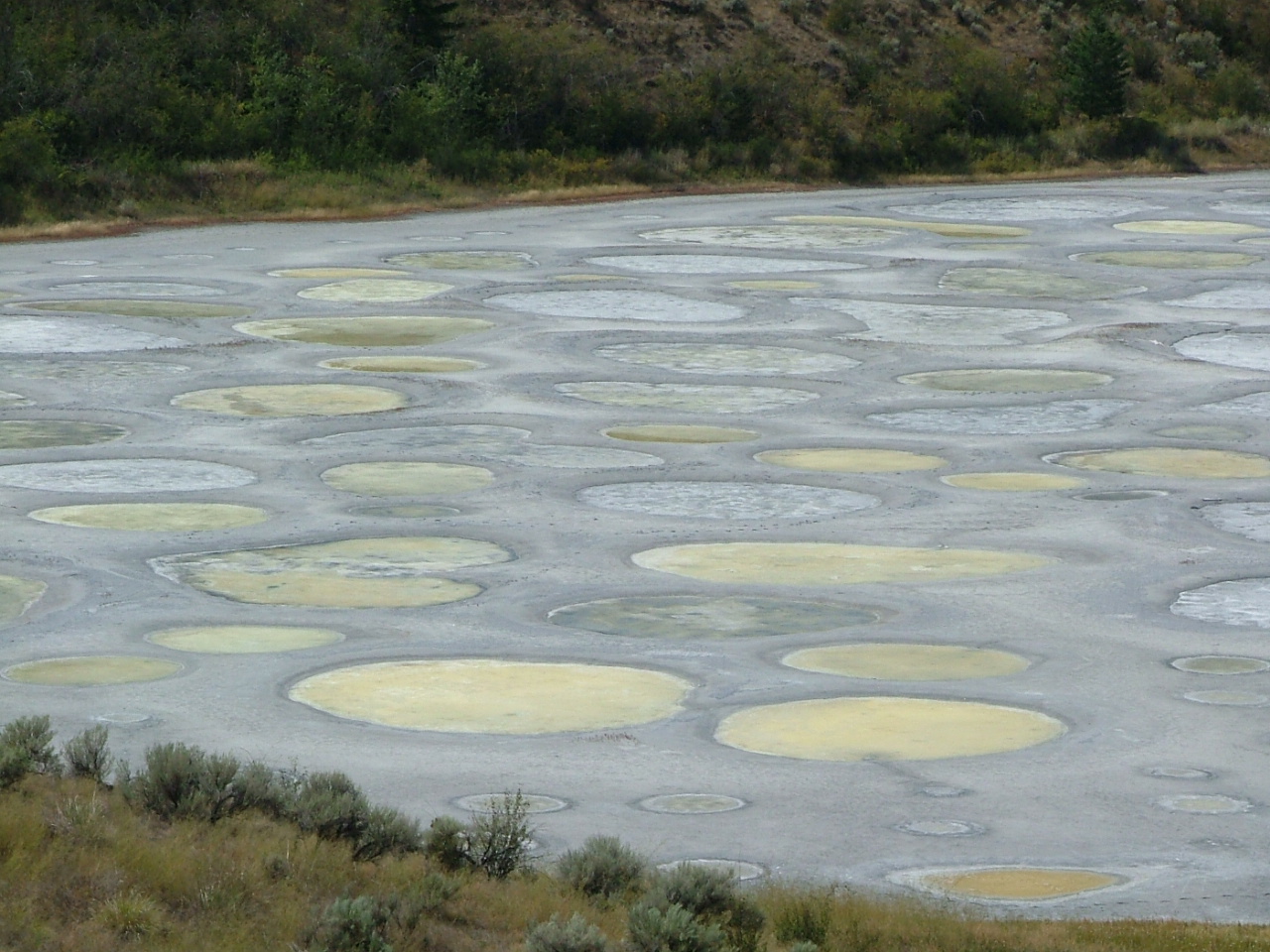 DSCF2689.JPG