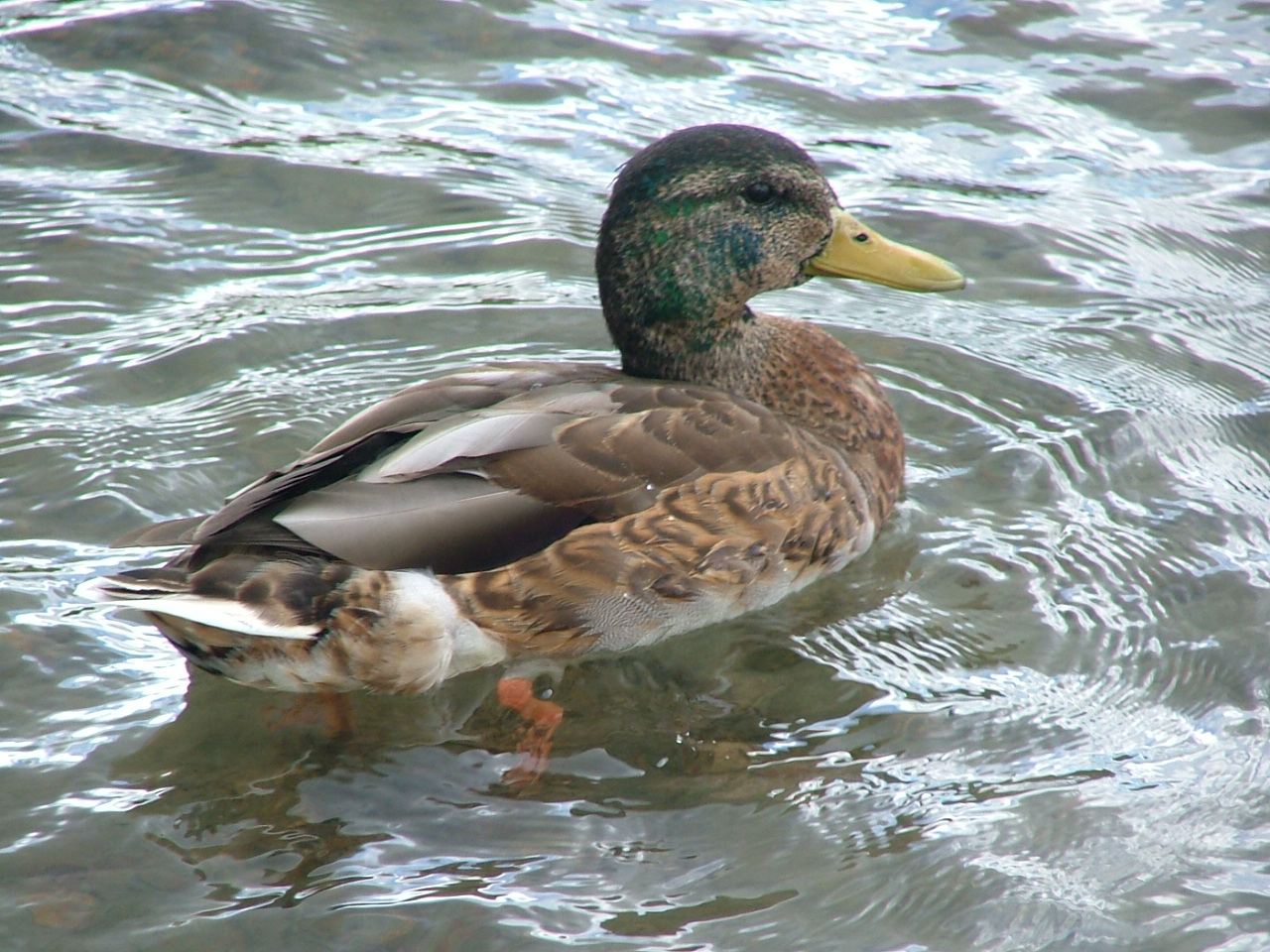 DSCF2759.JPG