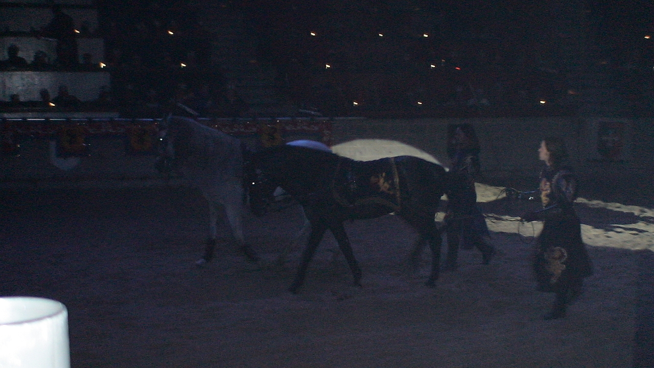 DSC00330.JPG