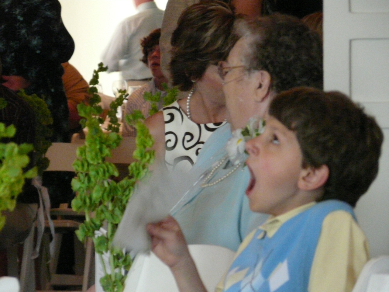 P1010156.JPG