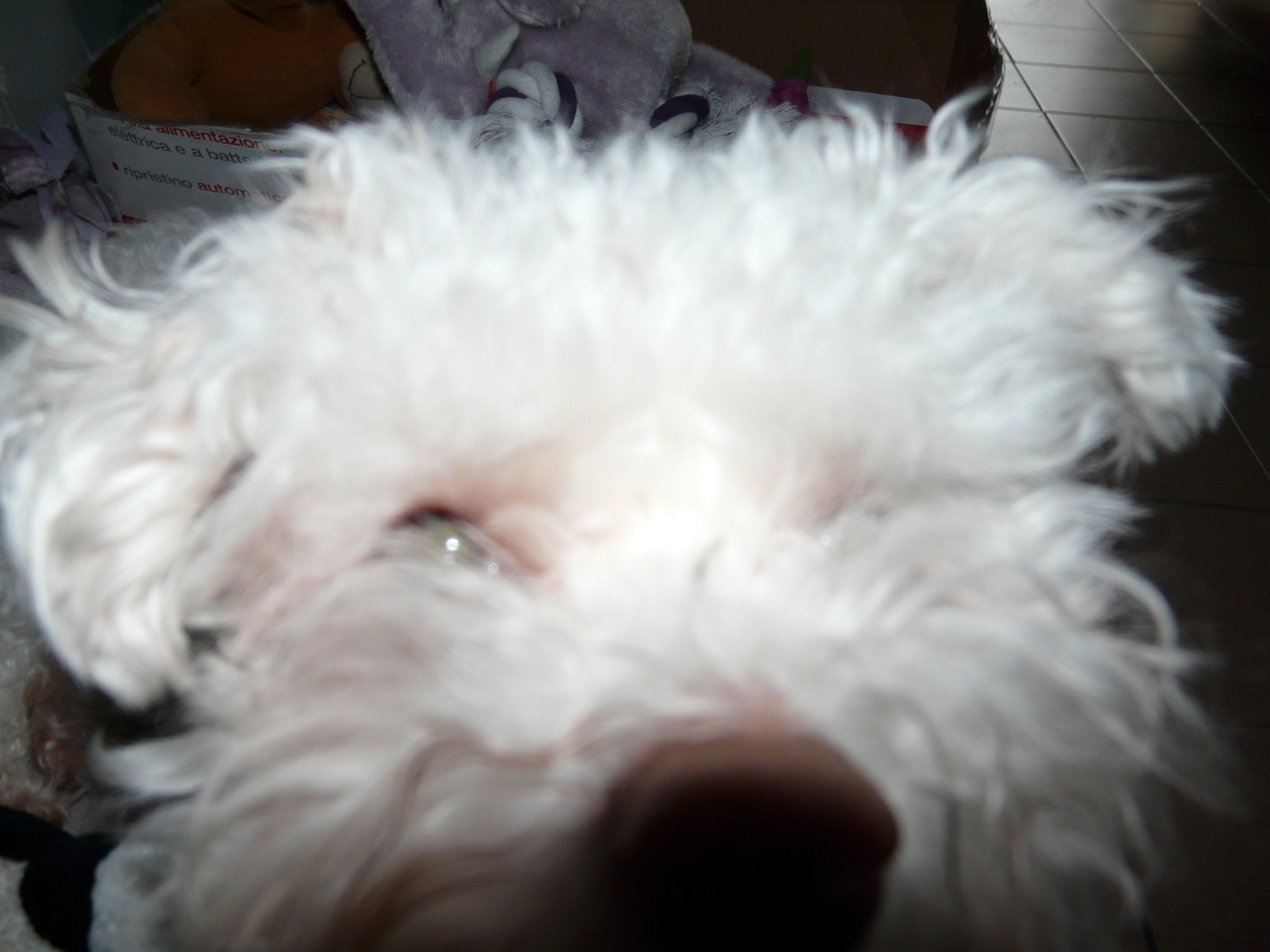 P1000338.JPG