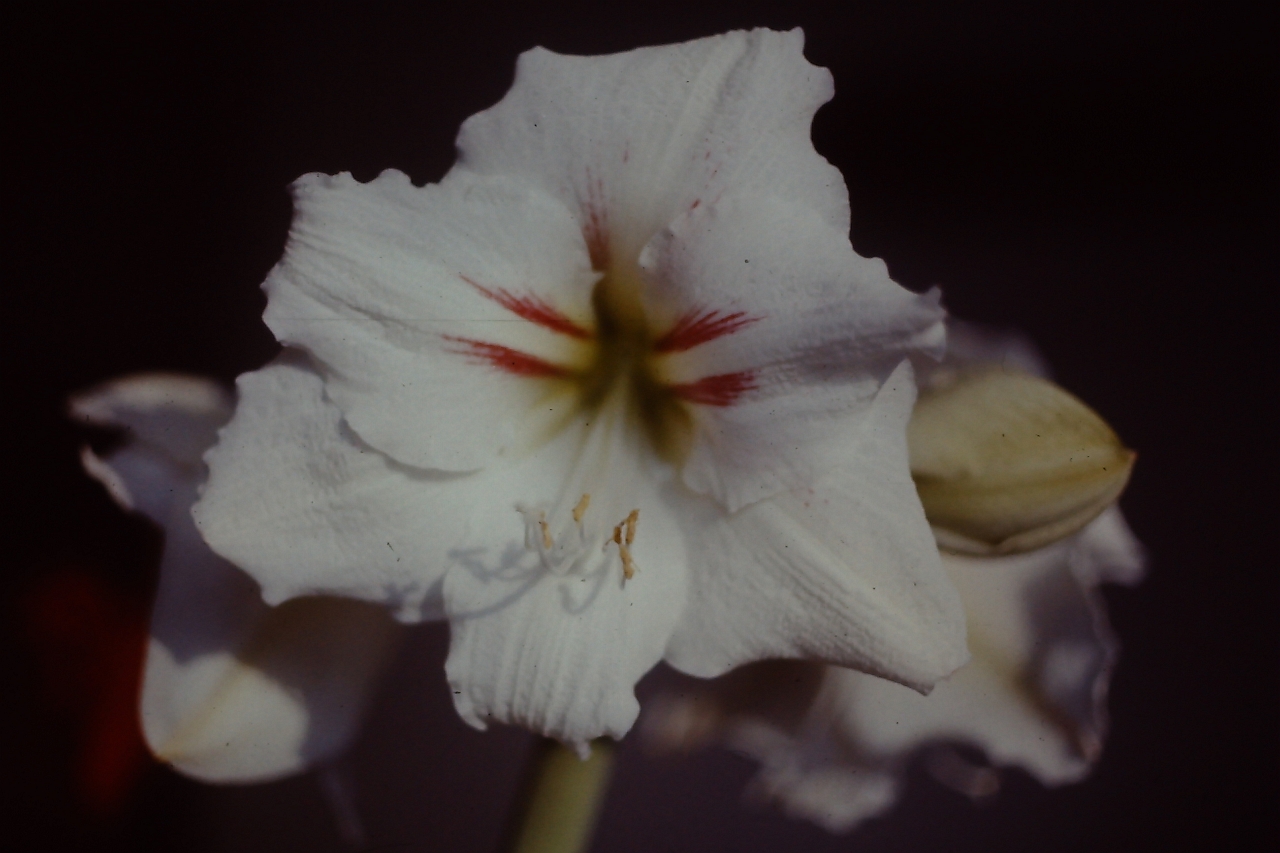 PICT0051.JPG