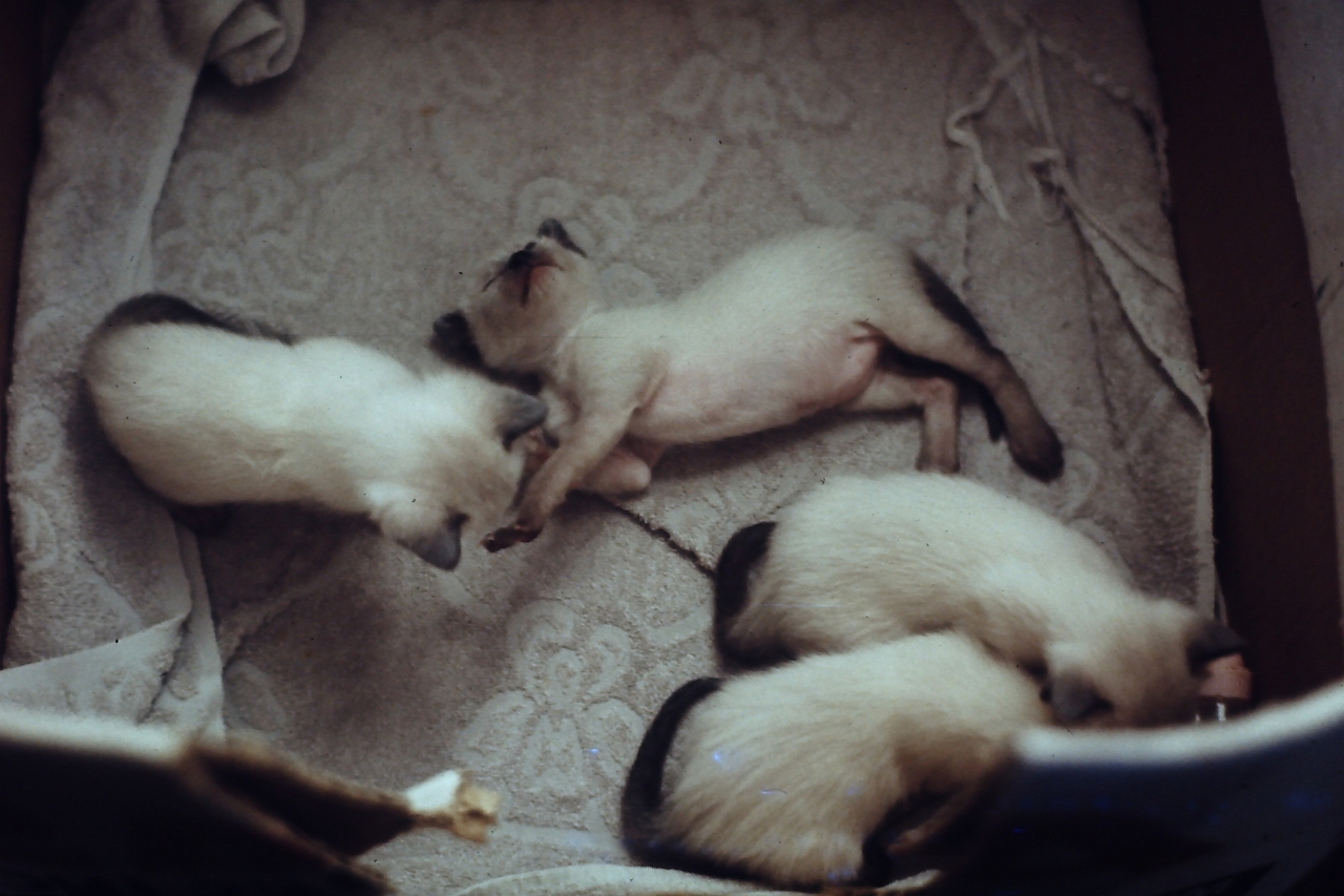PICT0076.JPG