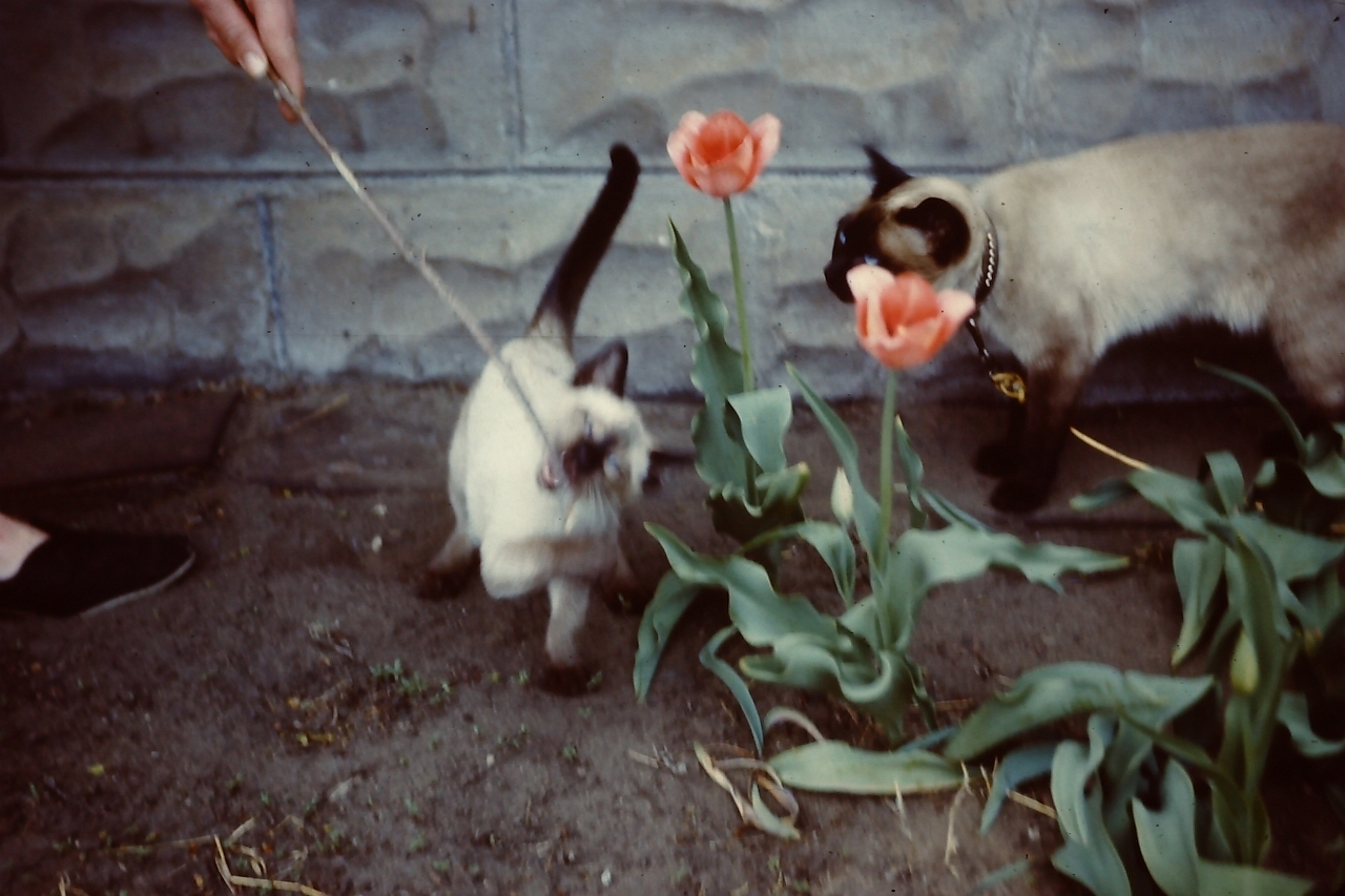 PICT0112.JPG