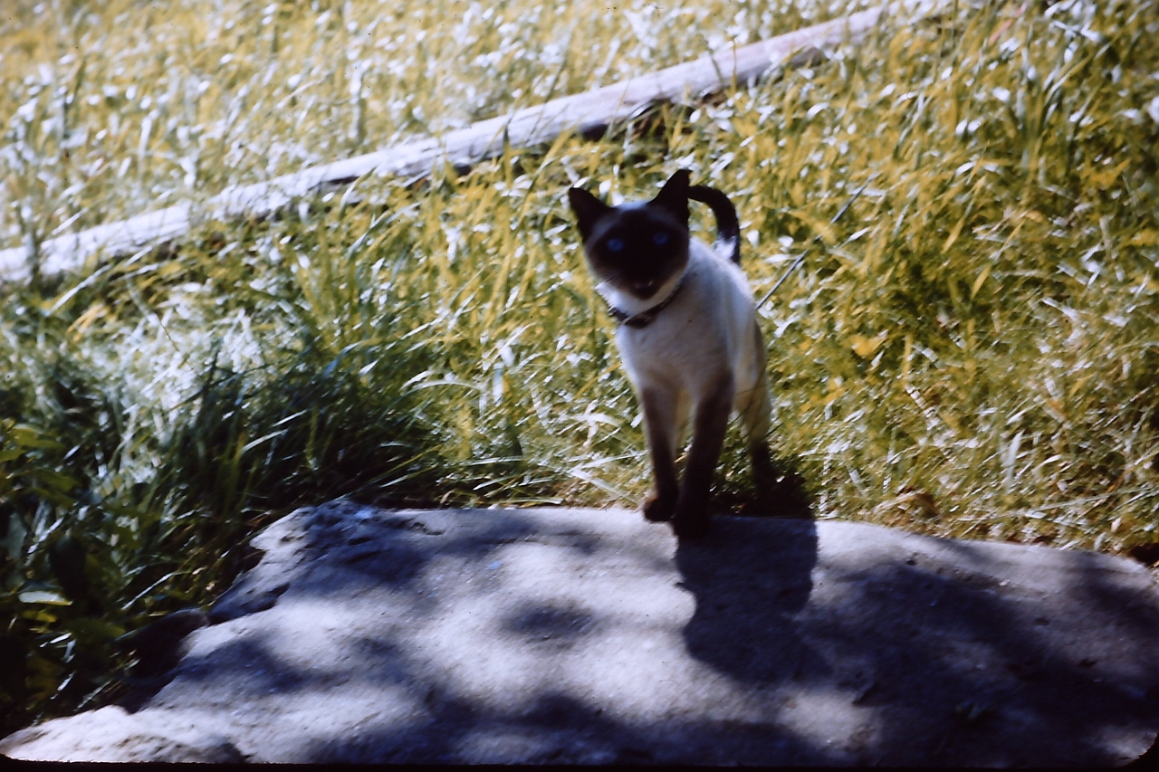 PICT0114.JPG
