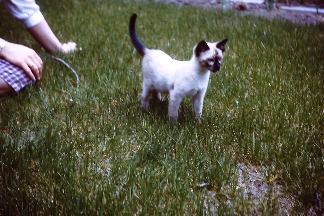 PICT0117.JPG