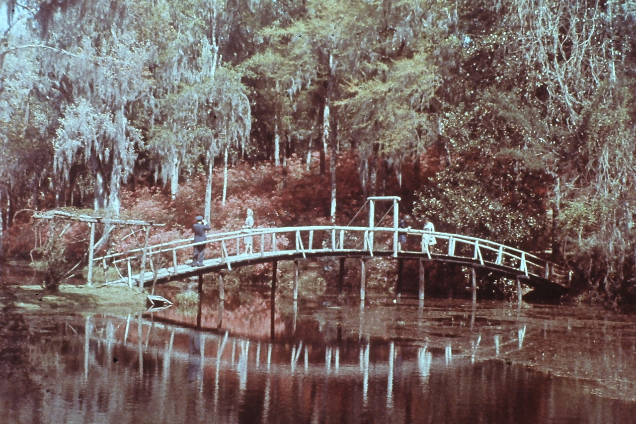 PICT0242.JPG