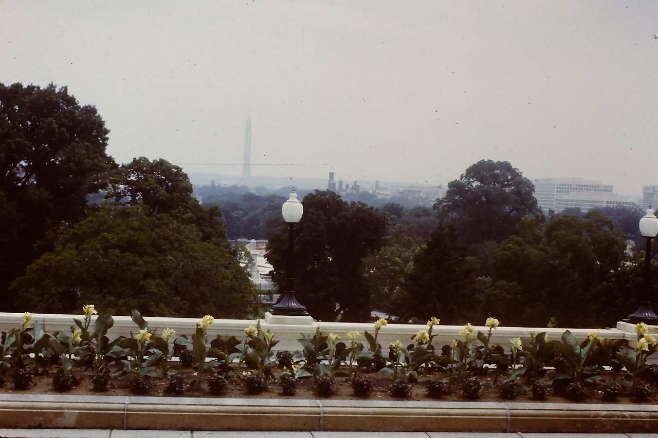 PICT0307.JPG