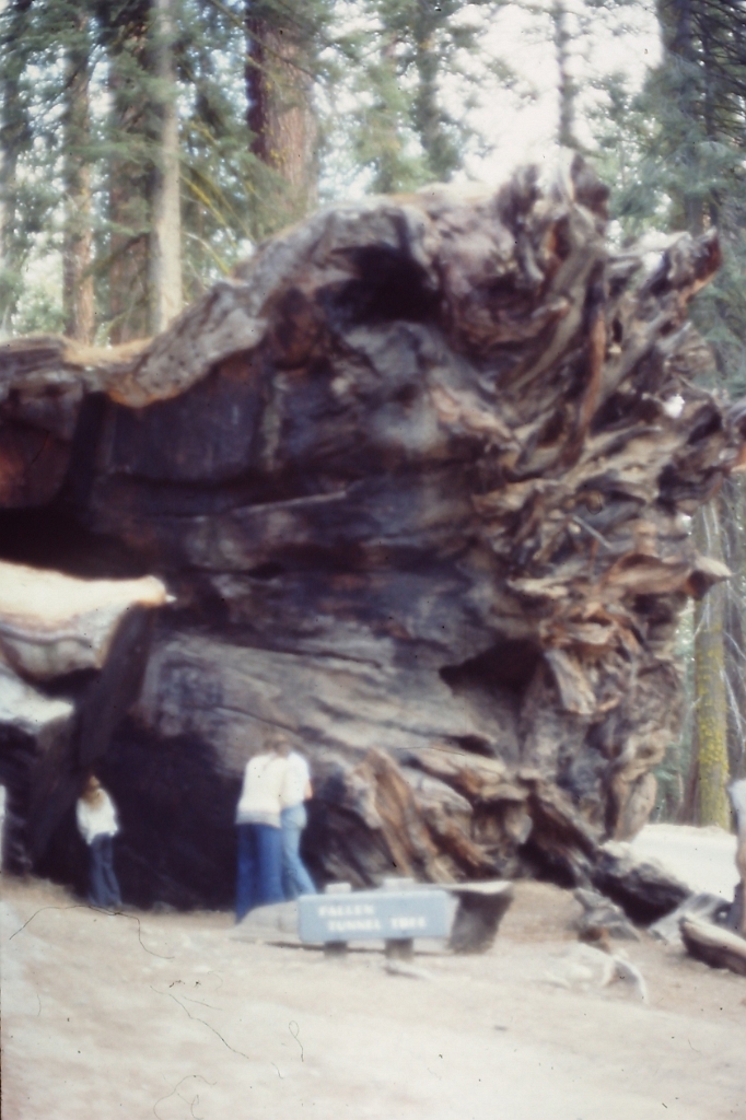 PICT0365.JPG