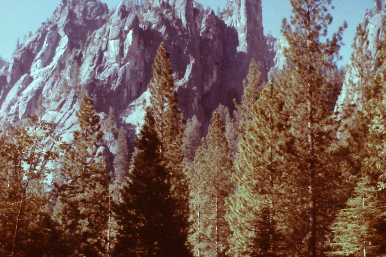PICT0370.JPG