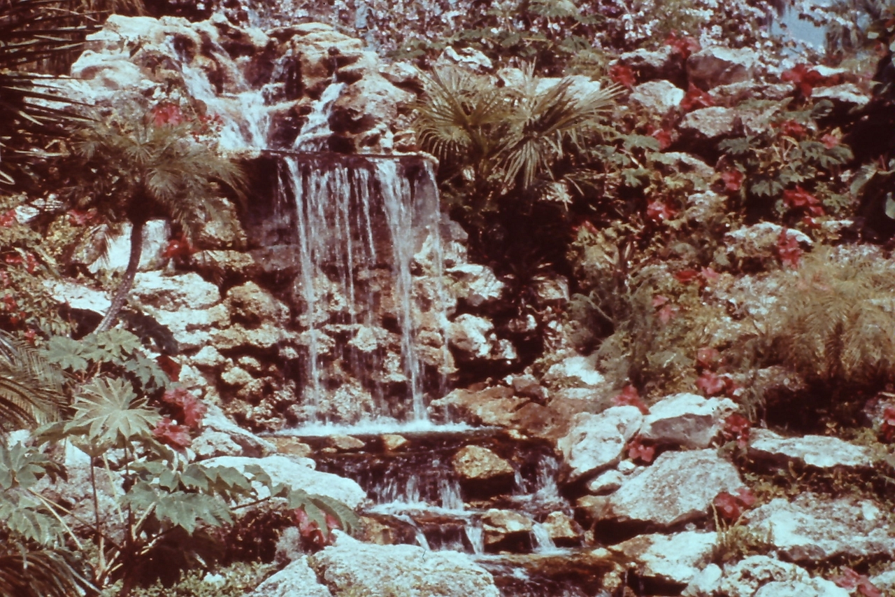 PICT0372.JPG
