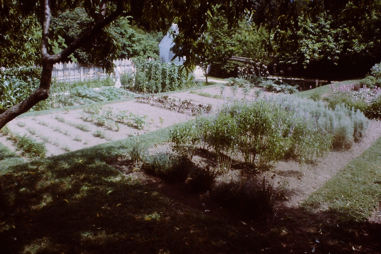 PICT0431.JPG