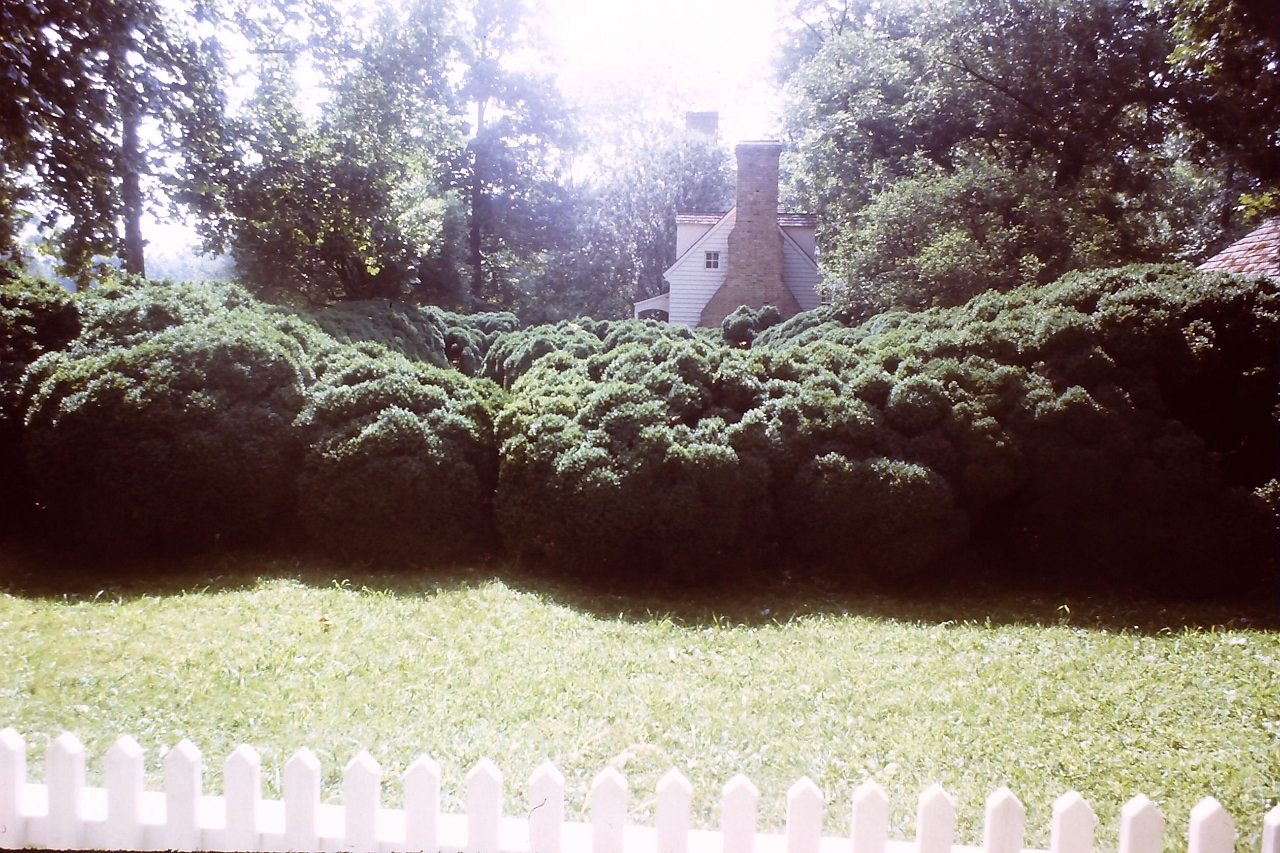 PICT0433.JPG