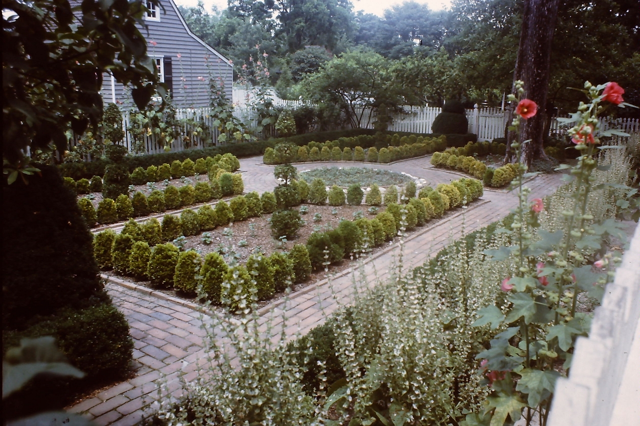 PICT0520.JPG
