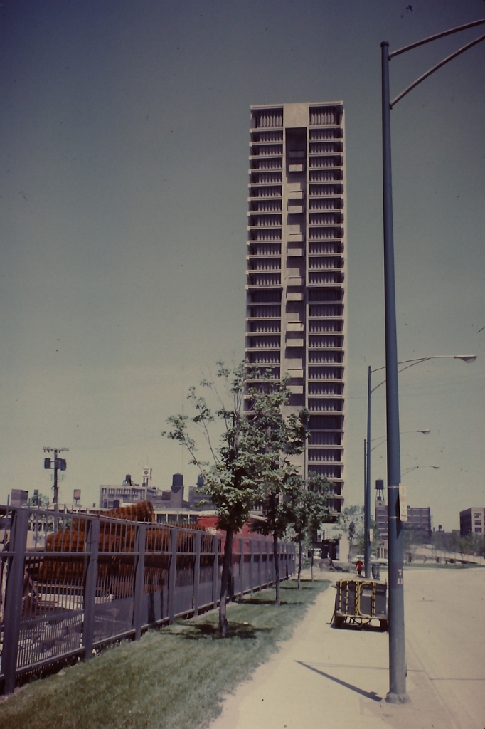 PICT0523.JPG - My beautiful picture