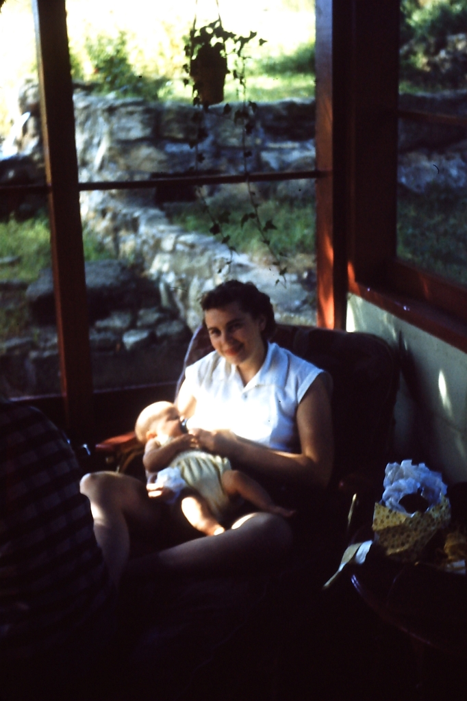 PICT0571.JPG - My beautiful picture