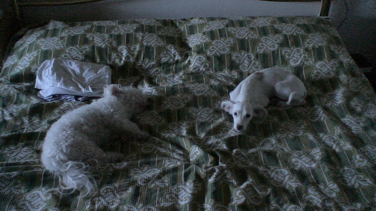 DSC00233.JPG