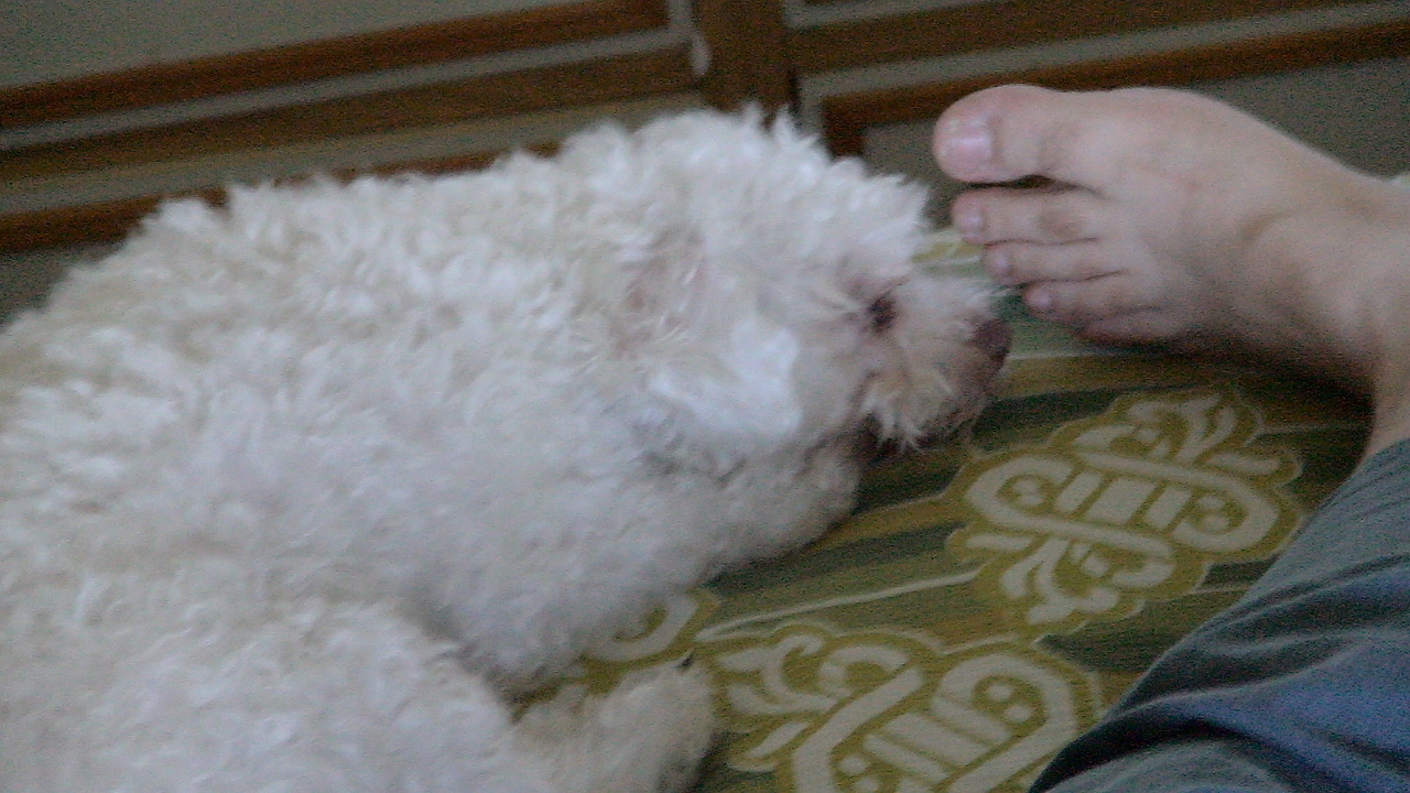 DSC00278.JPG