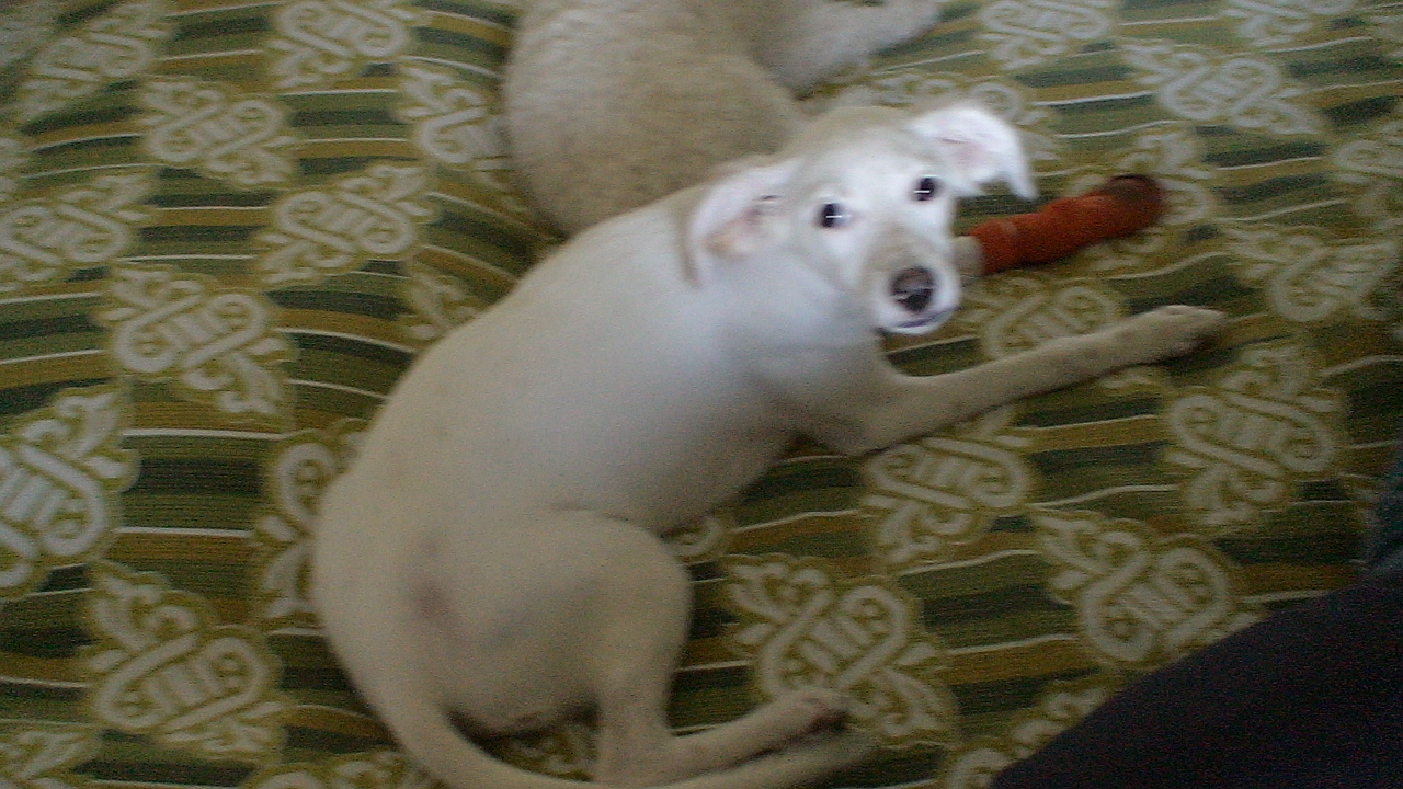 DSC00281.JPG