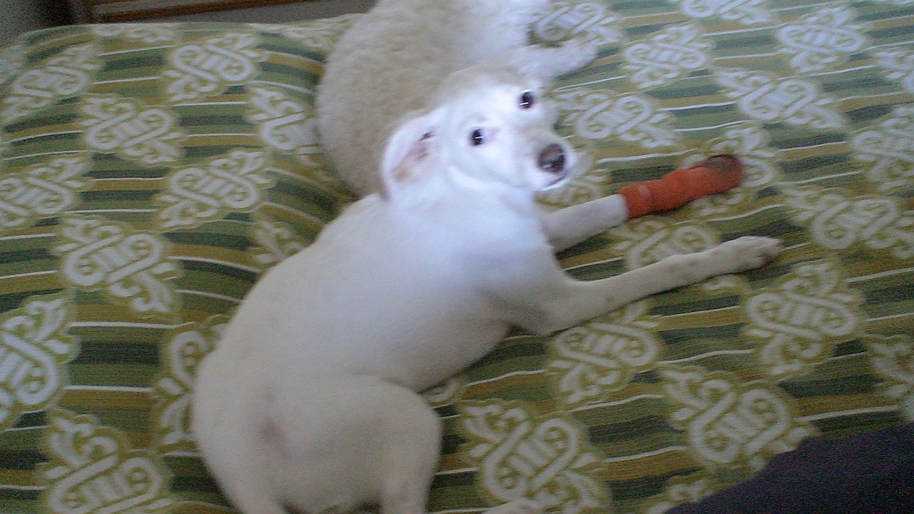 DSC00282.JPG