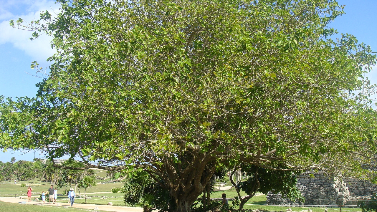 DSC00649.JPG