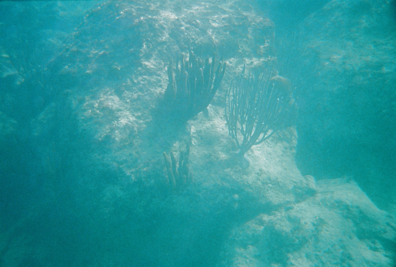 7-29-2007-08.jpg - Created by AccuSoft Corp.