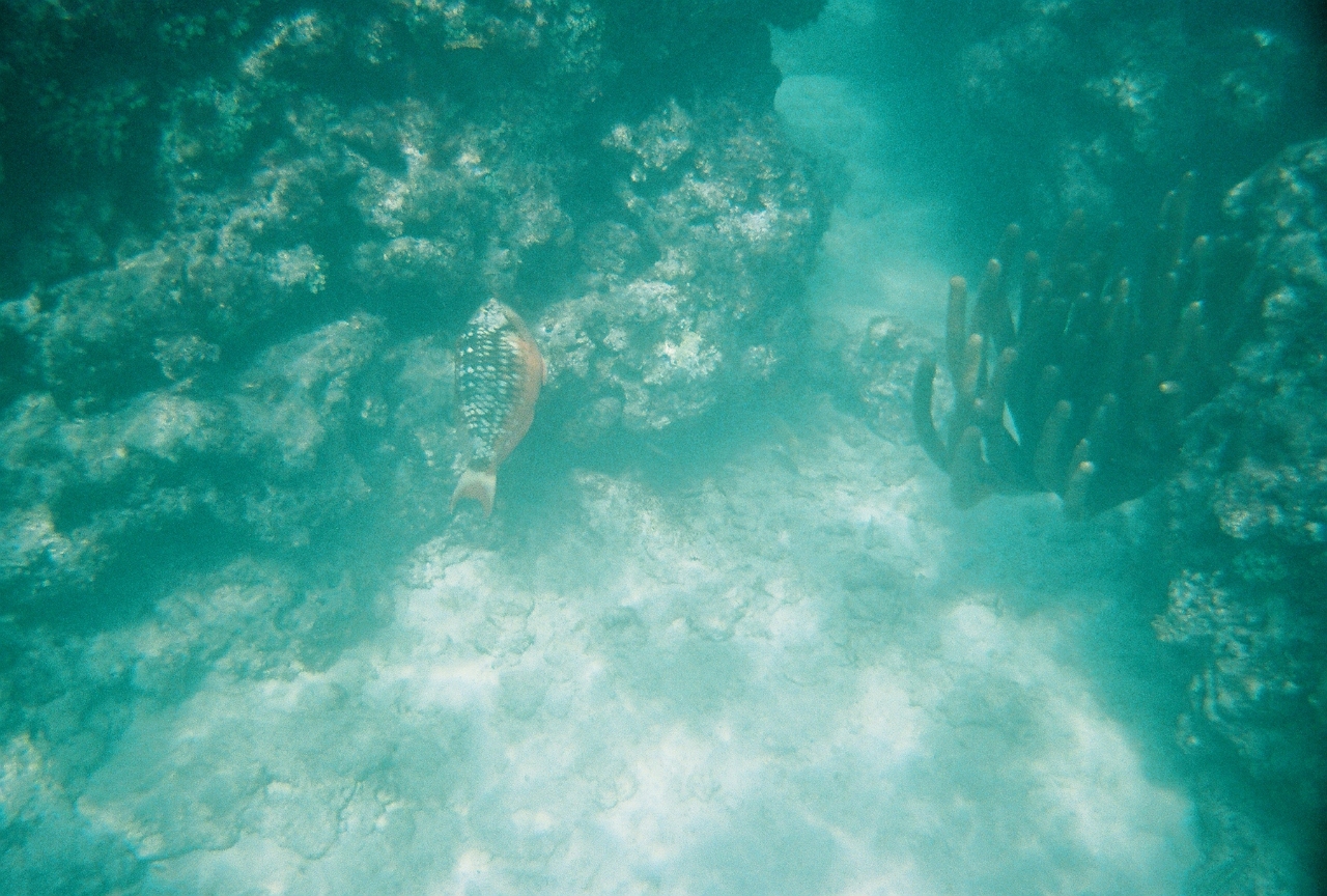 7-29-2007-09.jpg - Created by AccuSoft Corp.